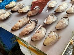 -大湾区中央湿地公园-十九涌