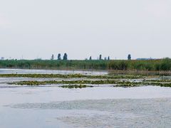 -白洋淀风景区