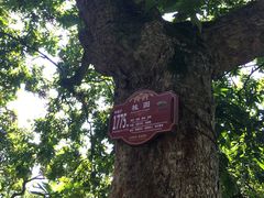 -张坝桂圆林公园