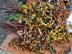 甜的微苦老奶边食边卖-郭洞古生态村