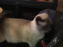 -MIKAKU(万达广场上海宝山店)