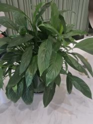 -木北护肤造型