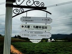 -紫颐香薰山谷景区