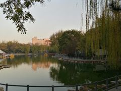 -莲湖公园