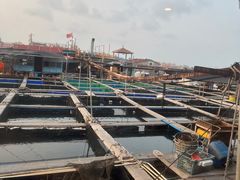 -蓝湾碧波·老字号·疍家非遗海上餐厅