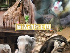 -长鹿旅游休博园