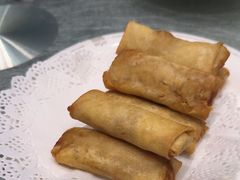 -丁老爷子苏香圆