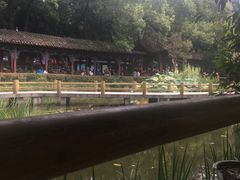 -古真记钵钵鸡(老公园店)