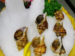 -顺德了能馆(虎门店)