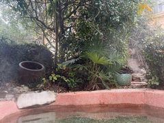 -咸宁万豪温泉谷度假区