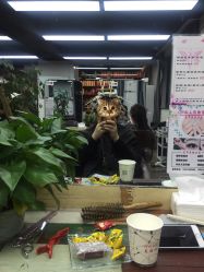 烫染-镁连社·美联社