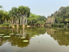 -中国科学院西双版纳热带植物园