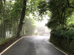 -莫干山风景区