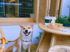 -Fruiffee Cafe 果啡派