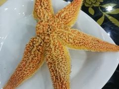 -海岛渔村大酒店(云霄路店)