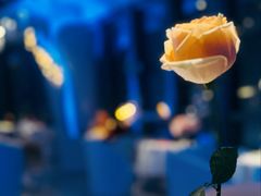 -天玑高空江景餐厅&酒吧Sky Secret Restaurant&Bar