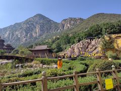 -禅宗少林·音乐大典