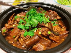 姜母鸭-上海老饭店(北京分店)