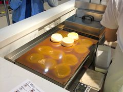 -狐狸和向日葵(北京路店)
