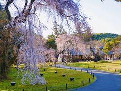 -醍醐寺