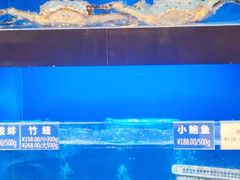 -金时代顺风大酒店(临港百联店)