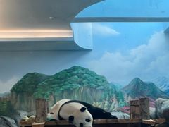 -武汉动物园