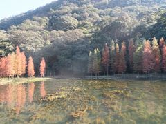 -广州市石门国家森林公园