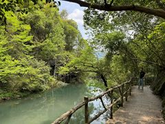-石台牯牛降景区