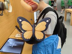 -Apple 零售店(Canton Road)