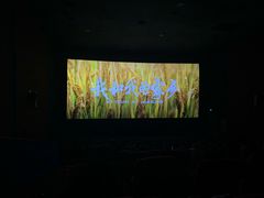 -上河影城(运河城店)