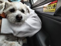 -美联众合24小时·皮肤科·外科·全科诊疗中心(华苑分院)