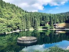 -武陵山森林公园