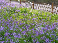 -白塘生态植物园
