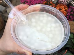 -潘玉麟糖粥