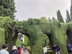 -阿尔罕布拉宫