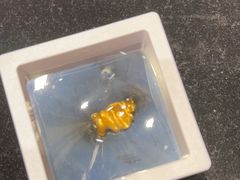 -会麦二手奢侈品包包手表回收寄卖(闵行店)
