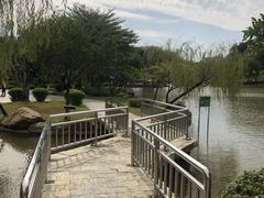 -三水森林公园