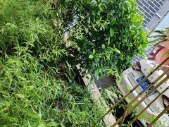 -香山湖渔家大院