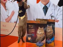 -上海静安香格里拉大酒店