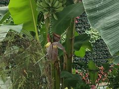 -石家庄市植物园