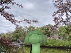 -成都南湖公园
