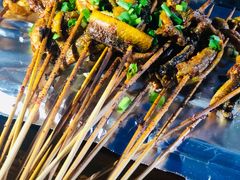 -晓靖轩烧烤(沙河风情店)