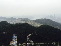 -大金鹰园