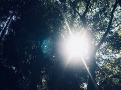 -都江堰普照寺