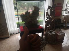 -新世纪酒店(阳朔西街店)