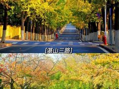 -八大关景区