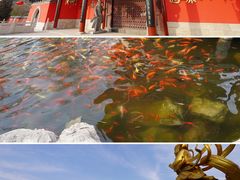-大悲禅寺