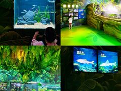 -海合安成都极地海洋公园