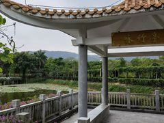 -大屏嶂森林公园