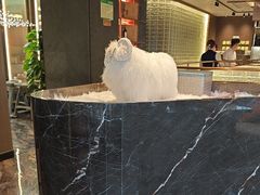 -百草滩羊清水涮羊肉·清真·宁夏盐池滩羊(莲花桥店)